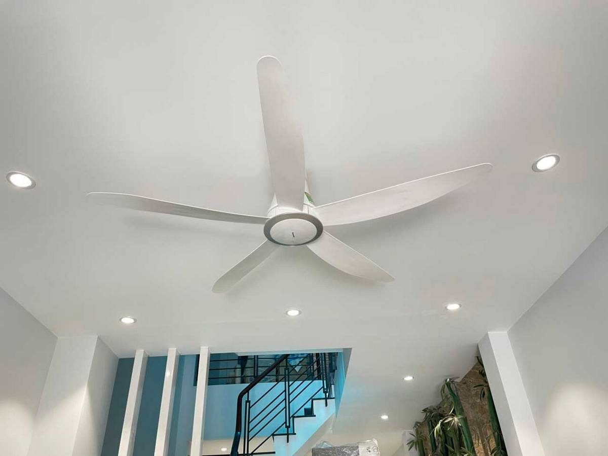quạt trần quay ngược - hình 5