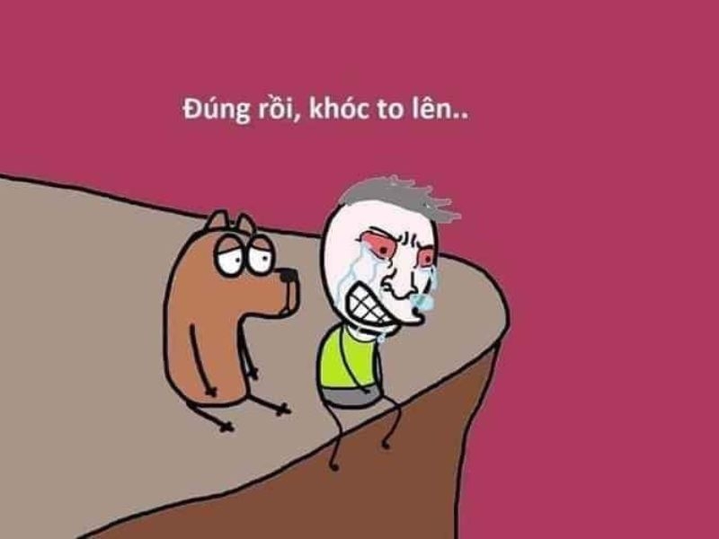 meme bất lực 14