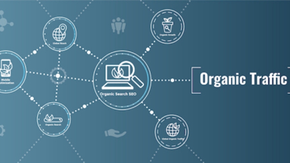 Organic Traffic
