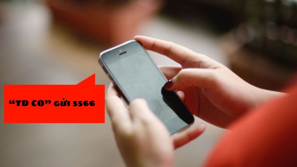 Soạn tin nhắn với cú pháp “TD CO” gửi 5566