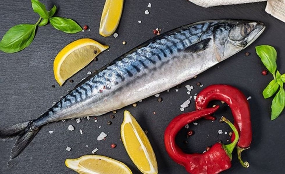 cá thu tươi sống