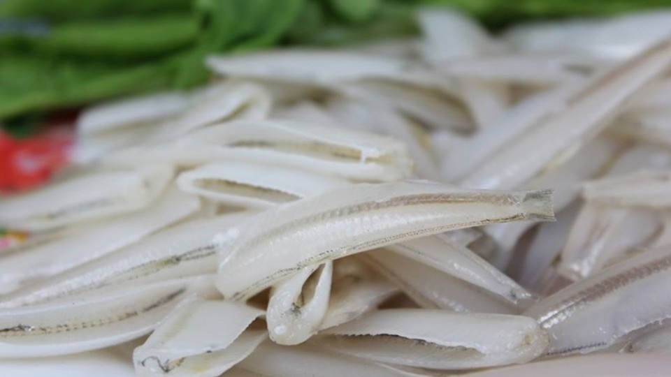 Sơ chế cá mai làm gỏi.