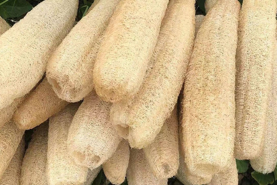 Vệ sinh bình siêu tốc - Ảnh 04