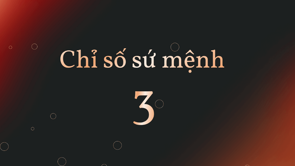 Chỉ số sứ mệnh số 3