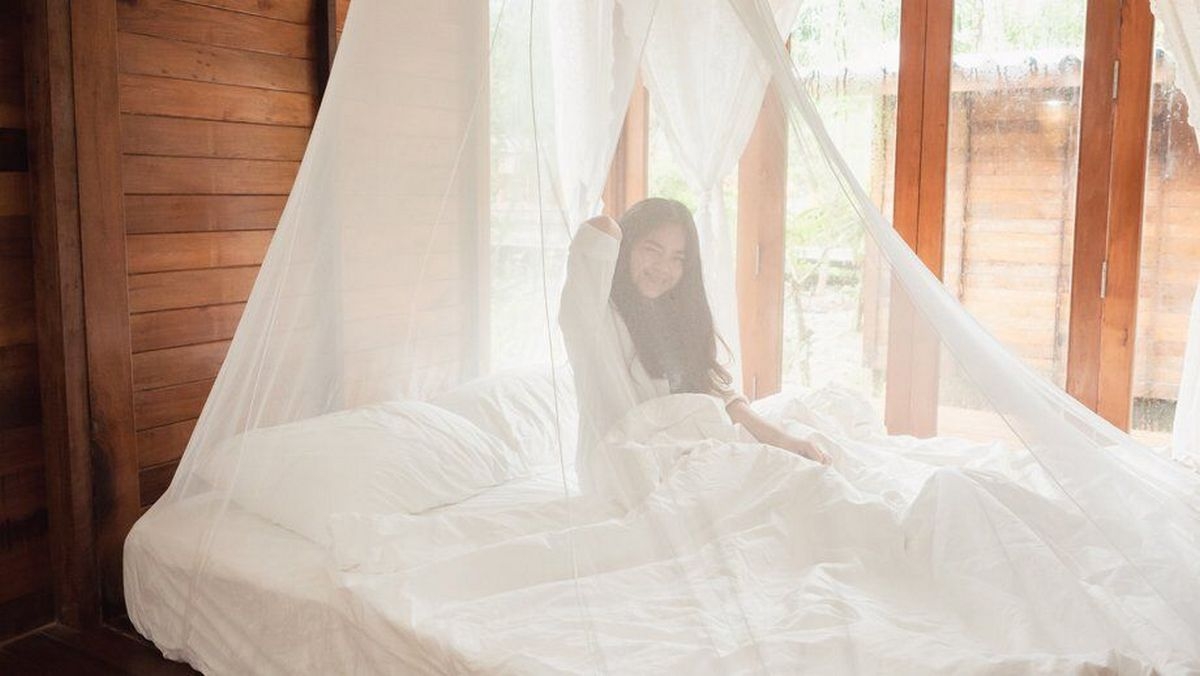 chế độ đuổi muỗi của máy lạnh - hình 3