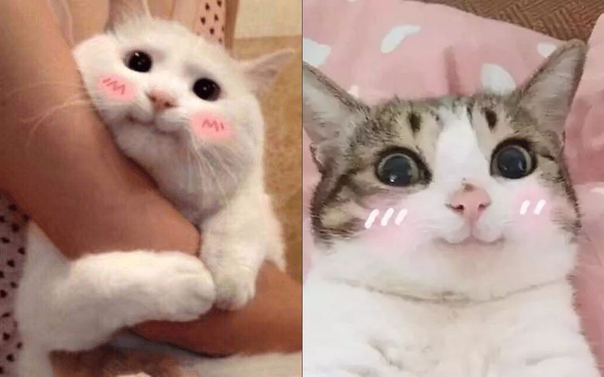 Meme cười mỉm 2