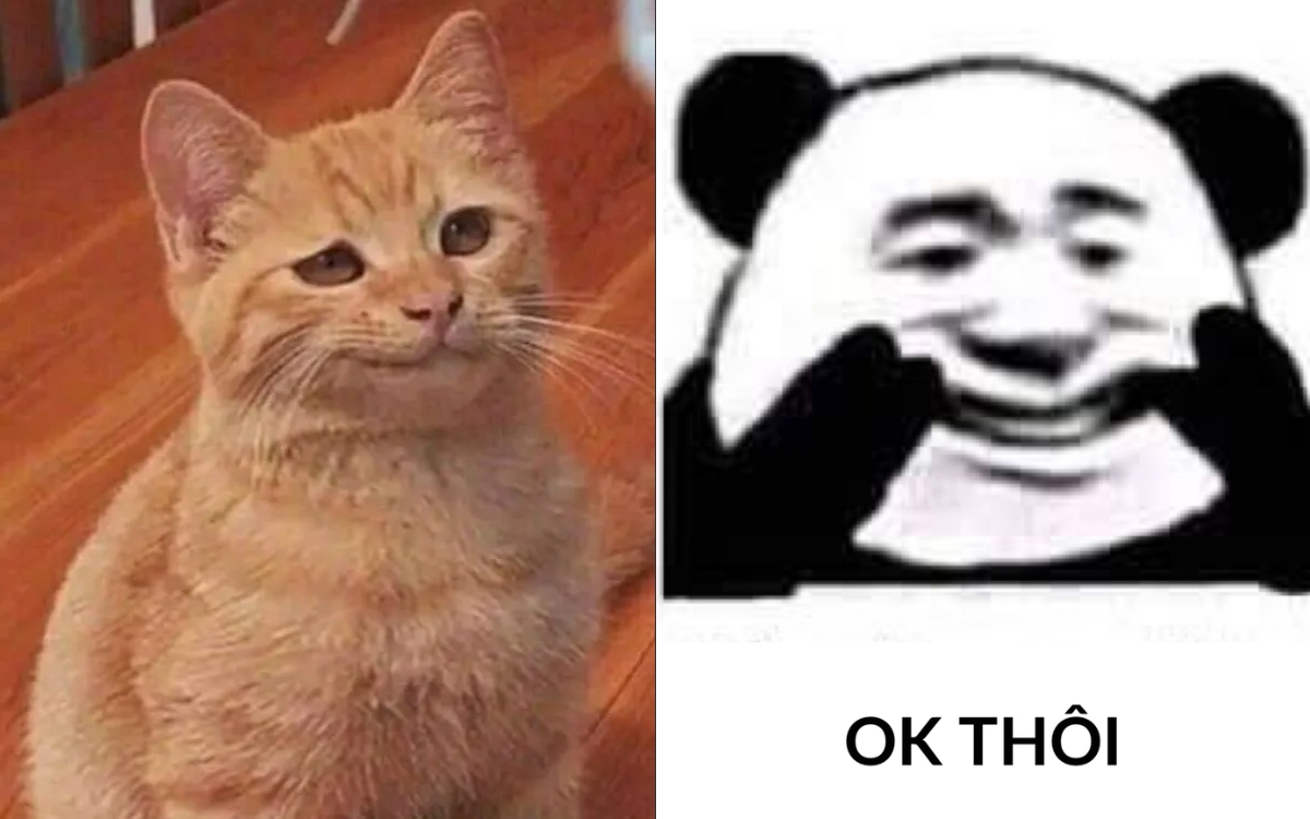 Meme cười đểu 1