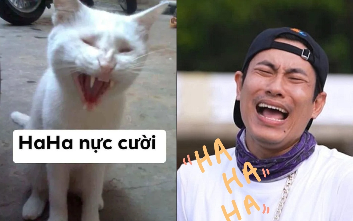 Meme cười haha 2