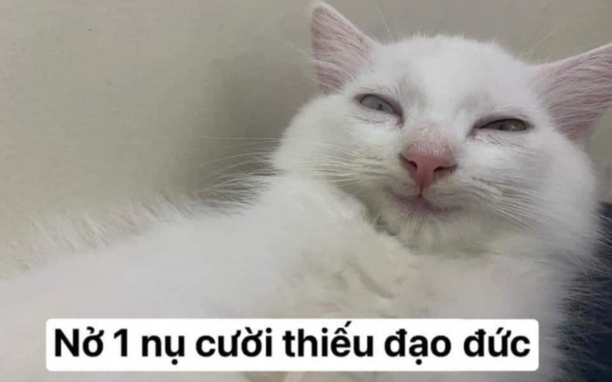 Vì sao nên sử dụng meme cười?