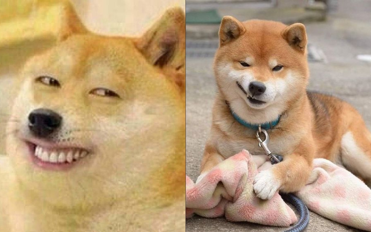 Meme cười đểu 2