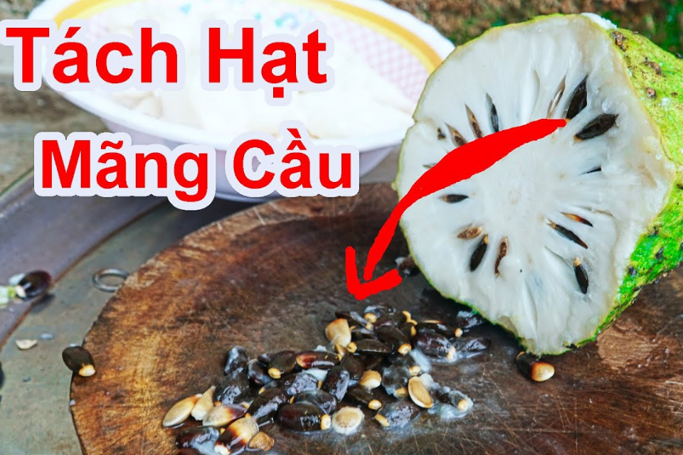Tách hạt mứt mãng cầu
