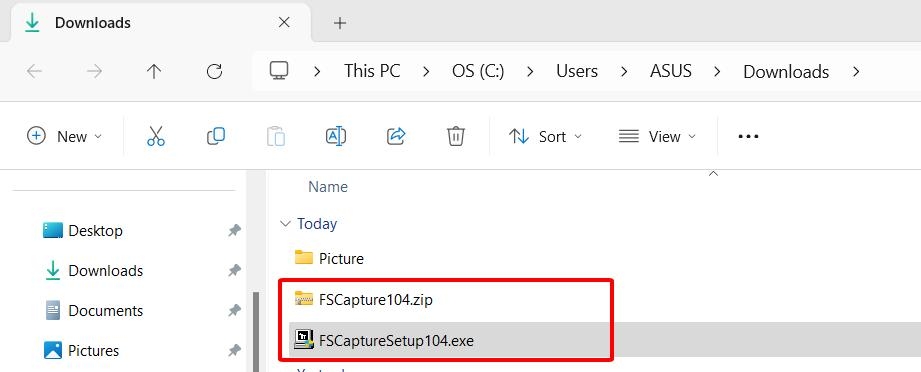 Faststone Capture là gì? Hướng dẫn chi tiết cách tải Faststone Capture (3)