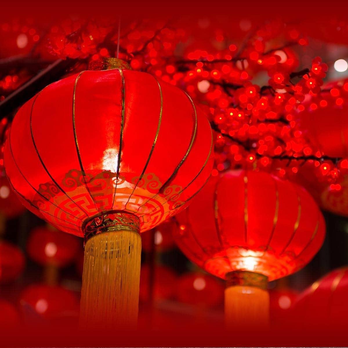 câu chúc Tết 4 chữ - hình 3