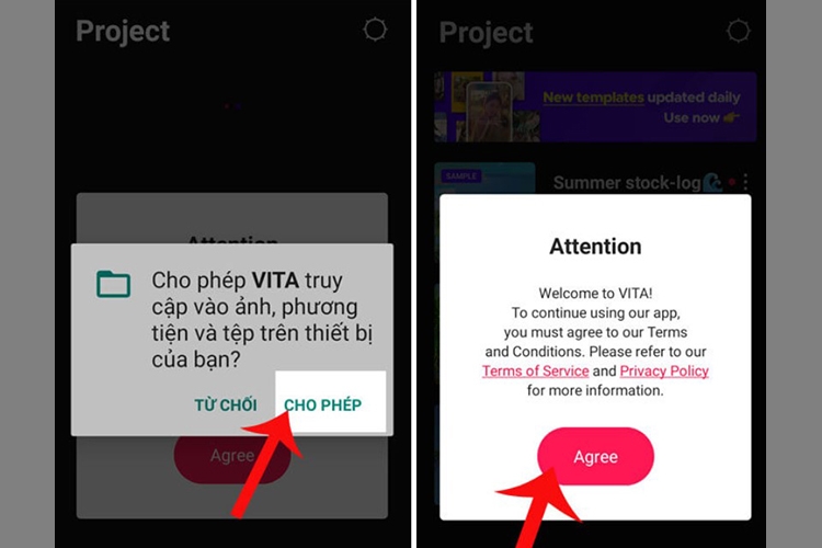 VITA là gì? 8