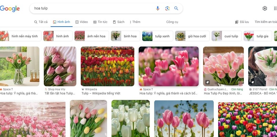 Tìm kiếm hình ảnh trên Google