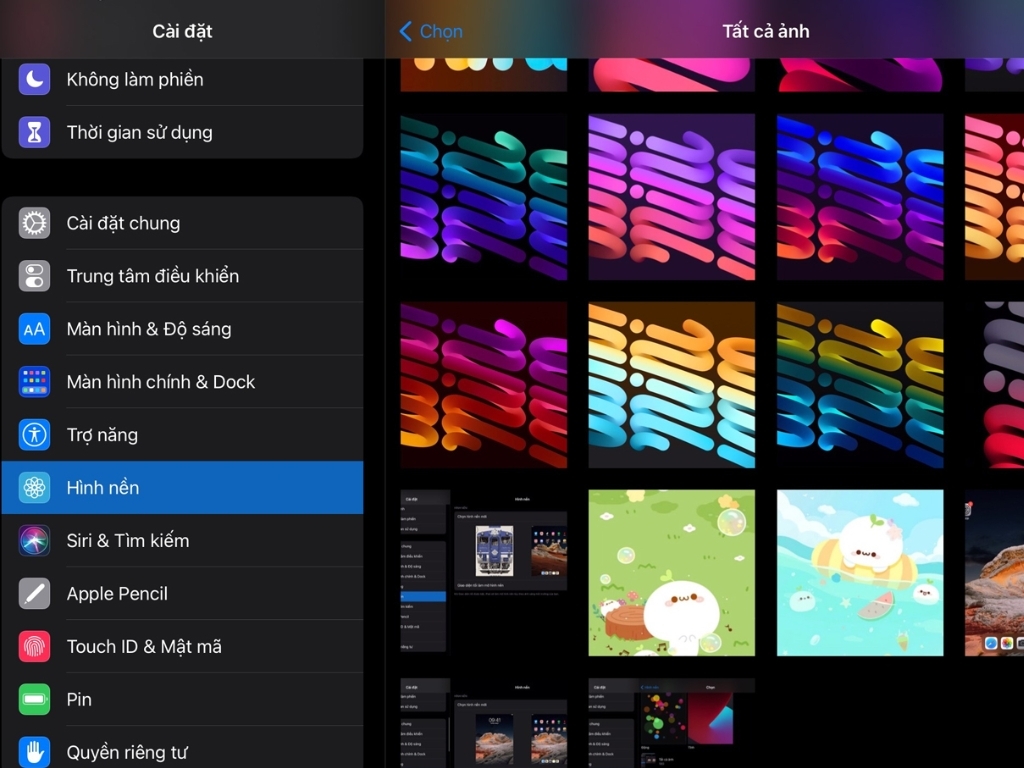Thay đổi hình nền màn hình iPad trong Cài đặt 2