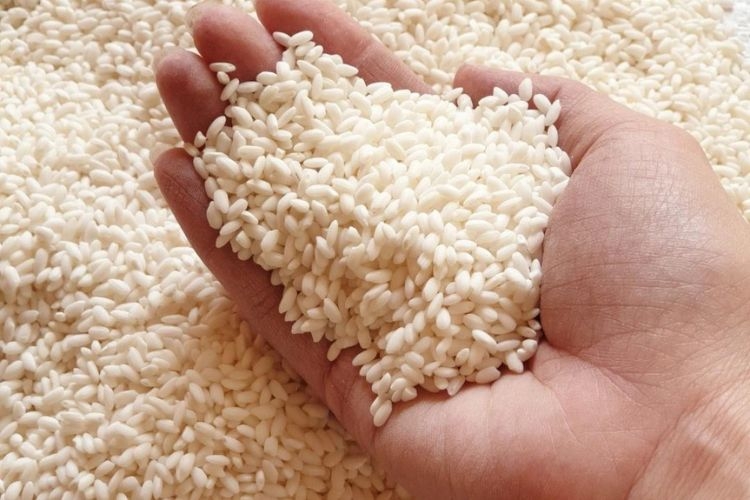 Gạo nếp ngon có hạt to tròn, màu trắng đục đẹp mắt