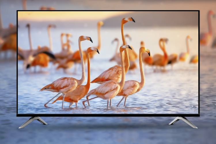 Thương hiệu tivi Vsmart, tivi của người Việt có những ưu điểm vượt trội nào? - hình 3