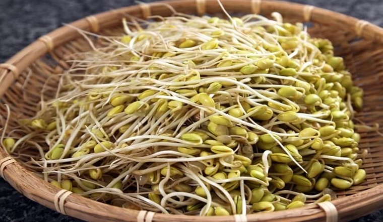100g giá bao nhiêu calo? Những lợi ích bất ngờ khi ăn giá đỗ mà có thể bạn không biết 2