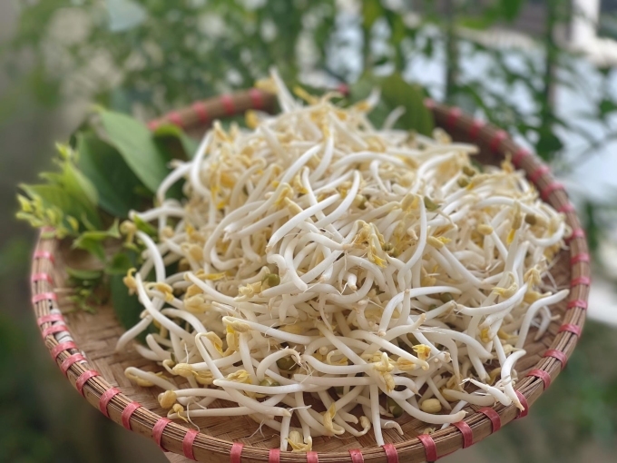 100g giá bao nhiêu calo? Những lợi ích bất ngờ khi ăn giá đỗ mà có thể bạn không biết 4