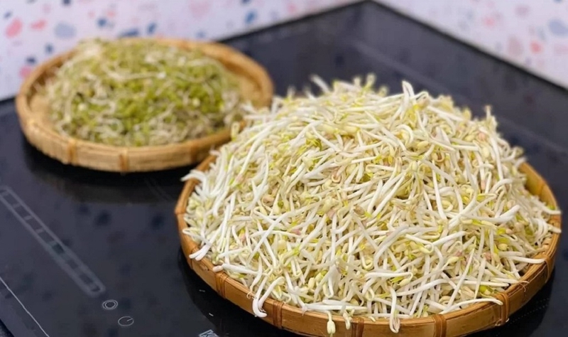 100g giá bao nhiêu calo? Những lợi ích bất ngờ khi ăn giá đỗ mà có thể bạn không biết 5
