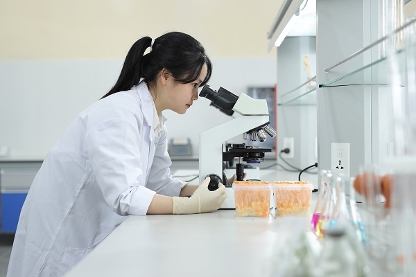 Cơ hội việc làm cho các bạn học sinh, sinh viên ngành học này là rất cao