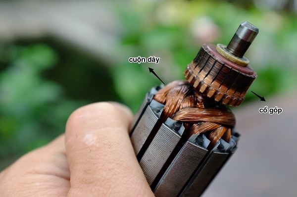 Vị trí của cổ góp