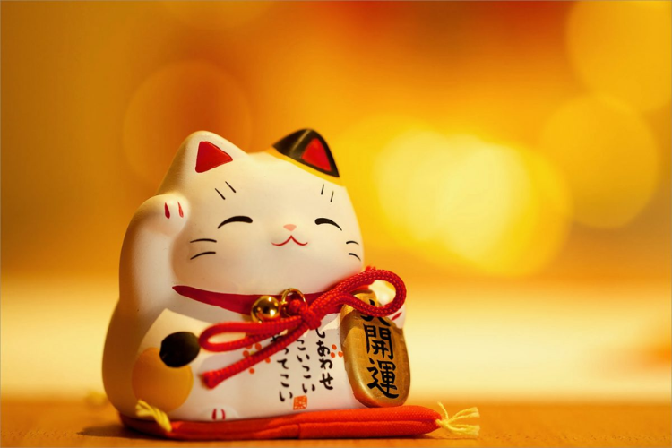 Lời chúc đầu tháng hài hước, thú vị gửi đến mọi người