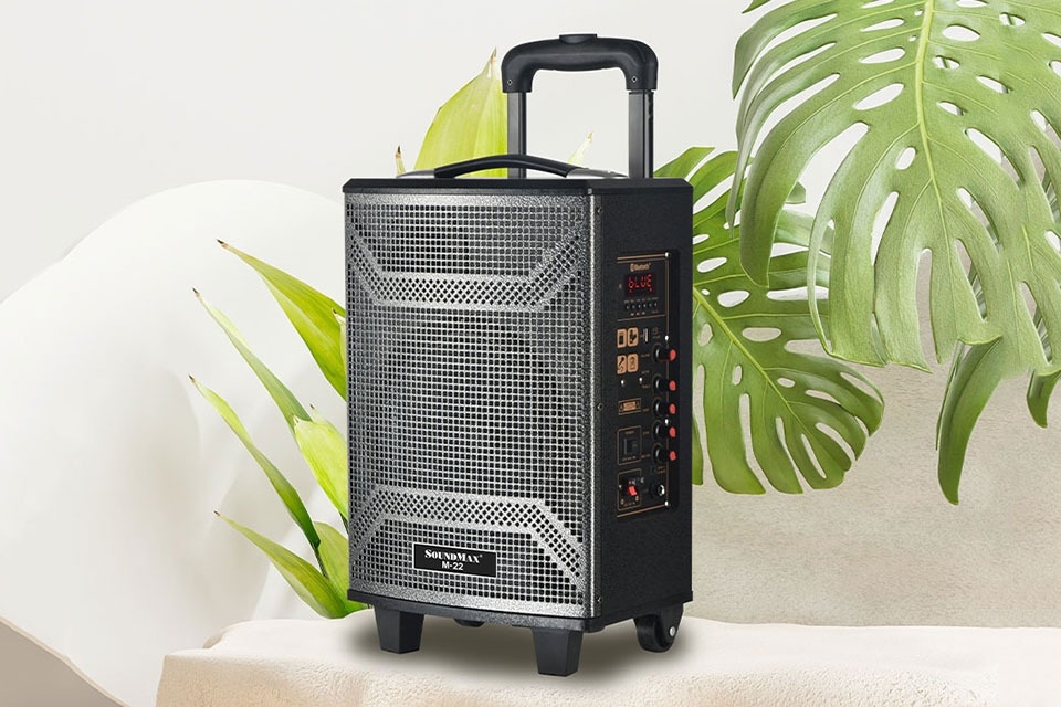 Loa Bluetooth giảm giá (hình 2)