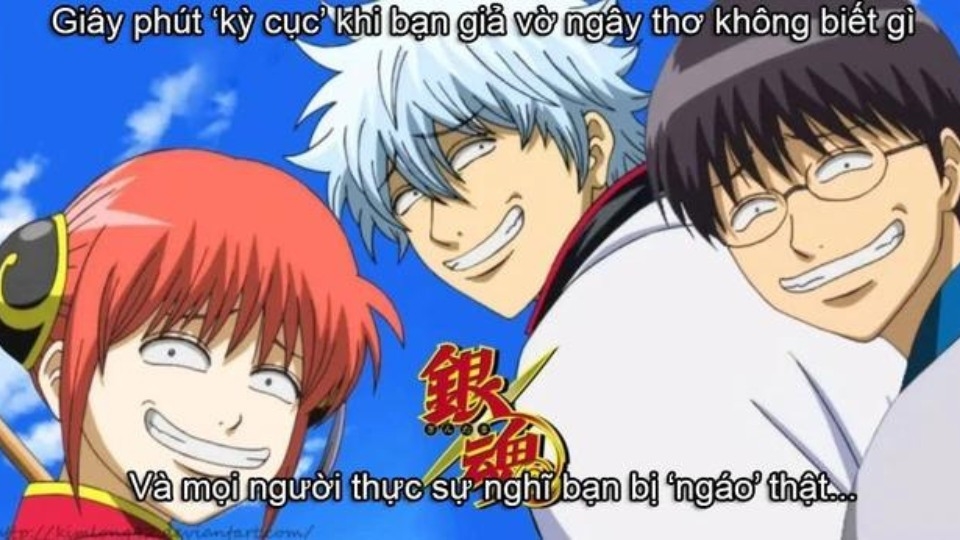 Anime meme nhận được rất nhiều sự yêu thích từ các fan anime.