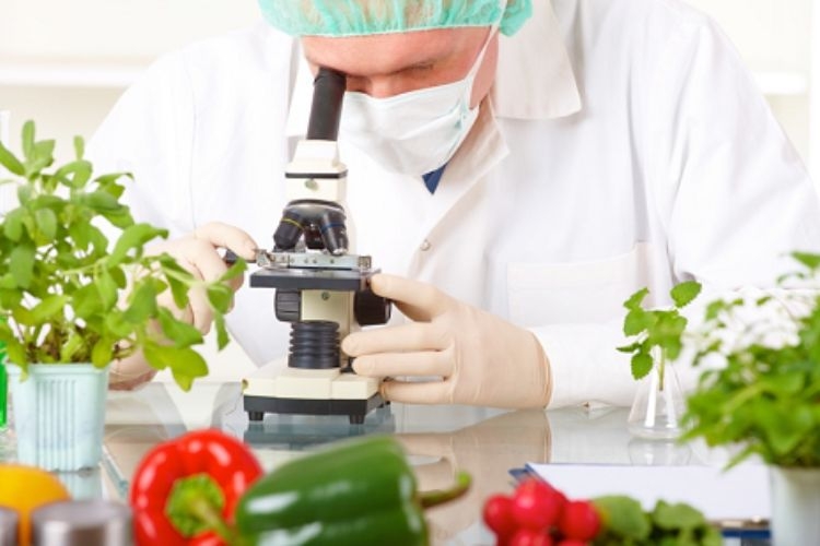 Mức lương của nhân sự ngành công nghệ thực phẩm