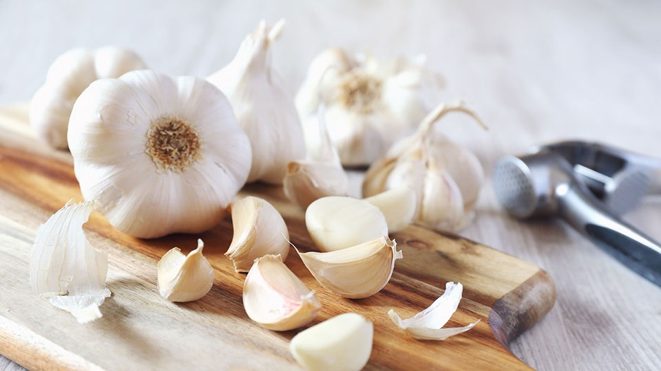 Tỏi là một nguyên liệu nấu ăn cực kỳ phổ biến