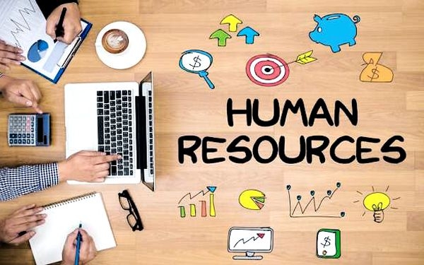 Ngành quản trị nhân lực giúp tạo ra một đội ngũ nhân sự chất lượng, đóng góp vào sự thành công và bền vững của doanh nghiệp
