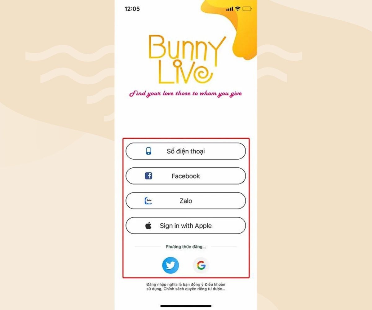 bunny live hình 9