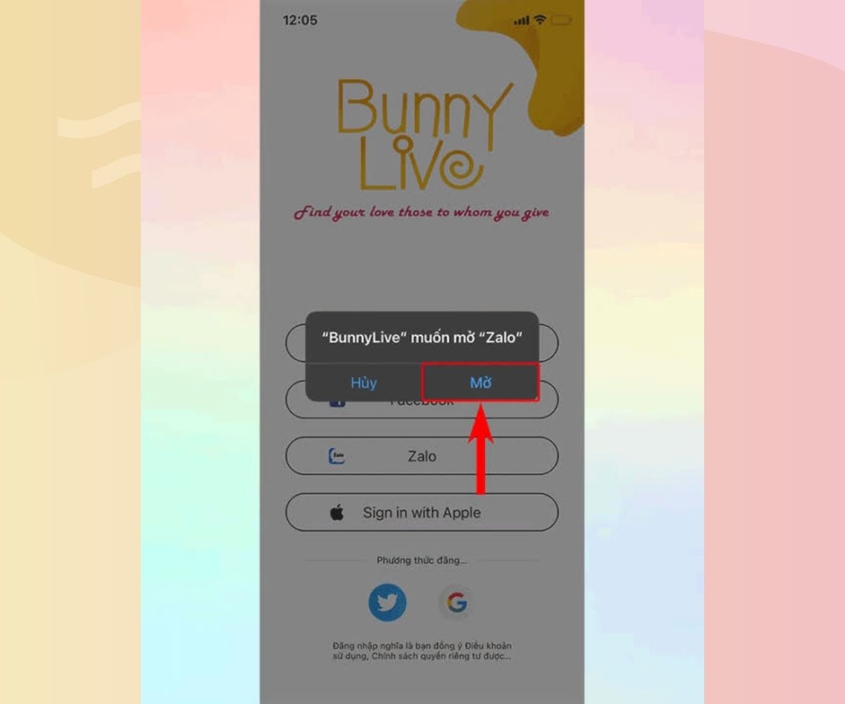 bunny live hình 10