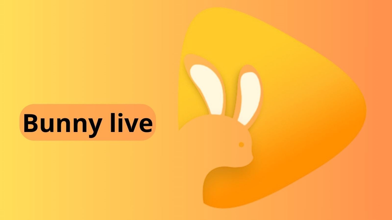 bunny live hình 2