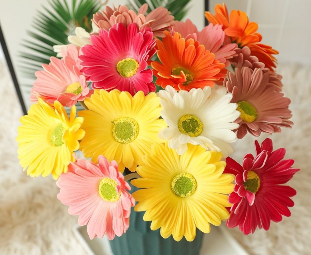 Hoa đồng tiền giúp thu hút tài lộc