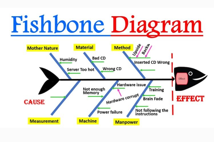 fishbone diagram