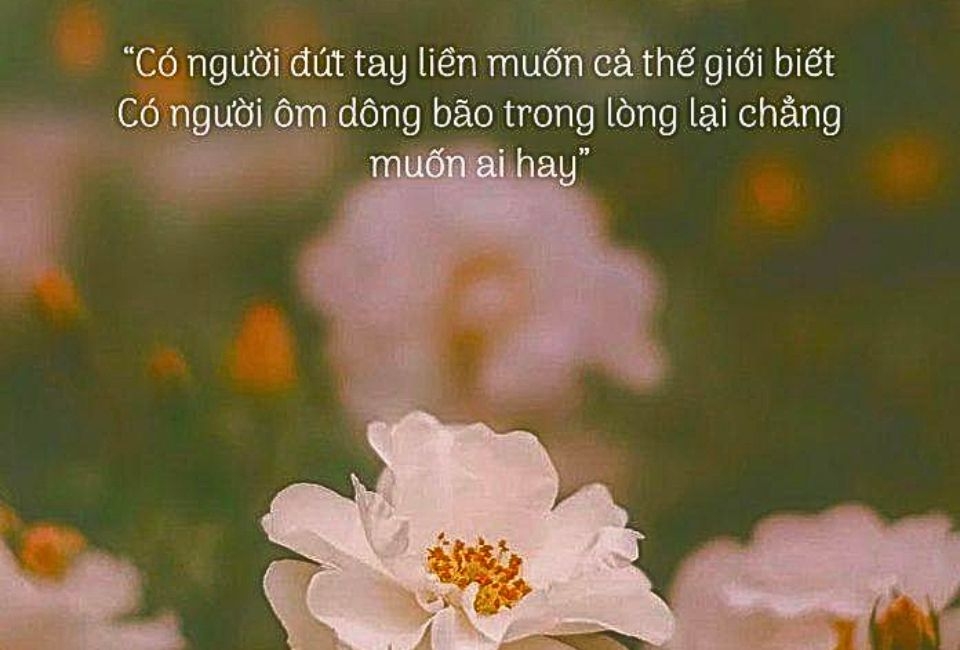 Câu nói hay về nổi buồn cuộc sống