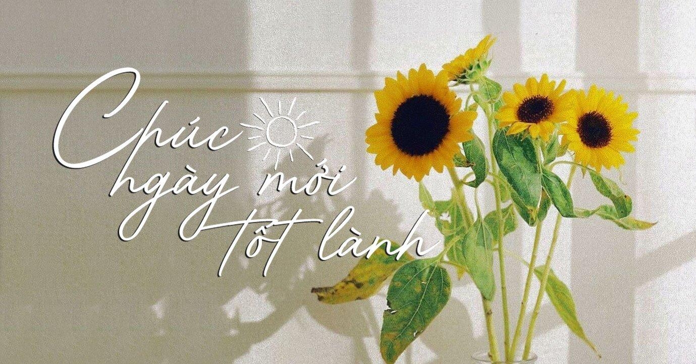 STT cuối tuần vui vẻ, tràn đầy năng lượng tích cực