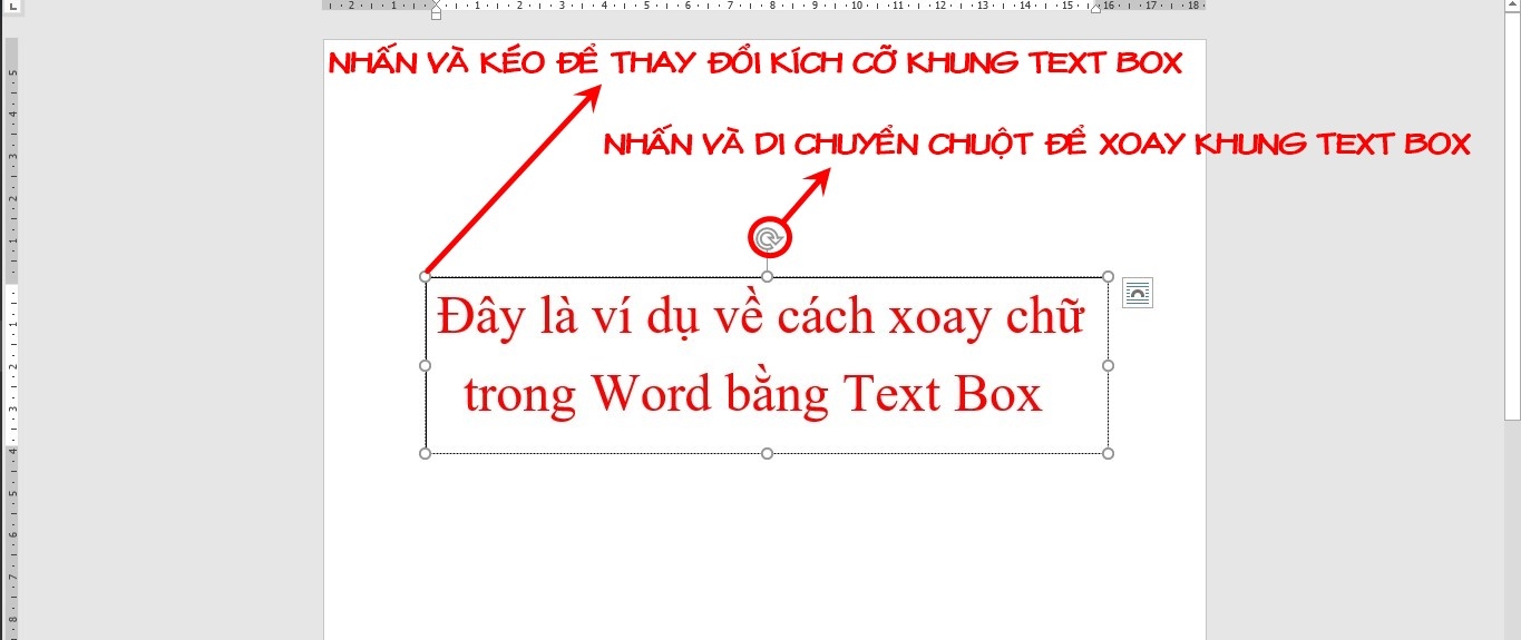 Các tùy chọn trong Text Box
