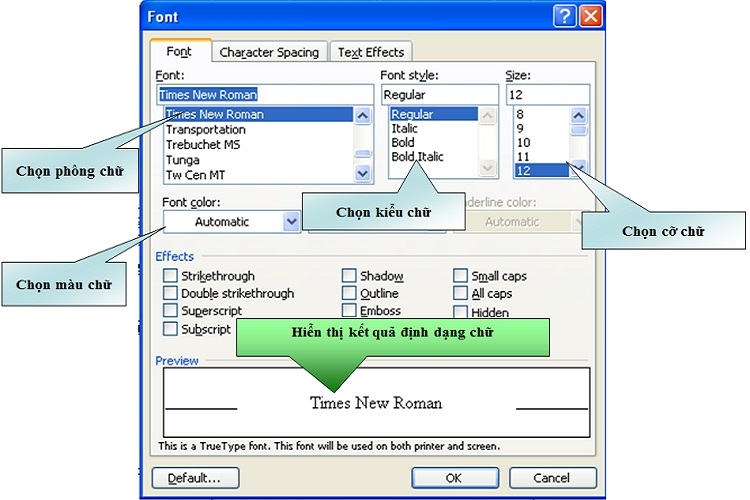 Định dạng ký tự