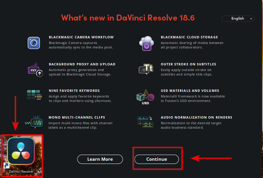 DaVinci Resolve 13