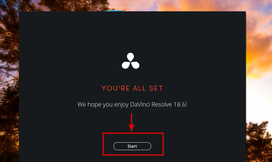 DaVinci Resolve 19