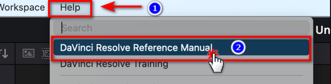 DaVinci Resolve 22