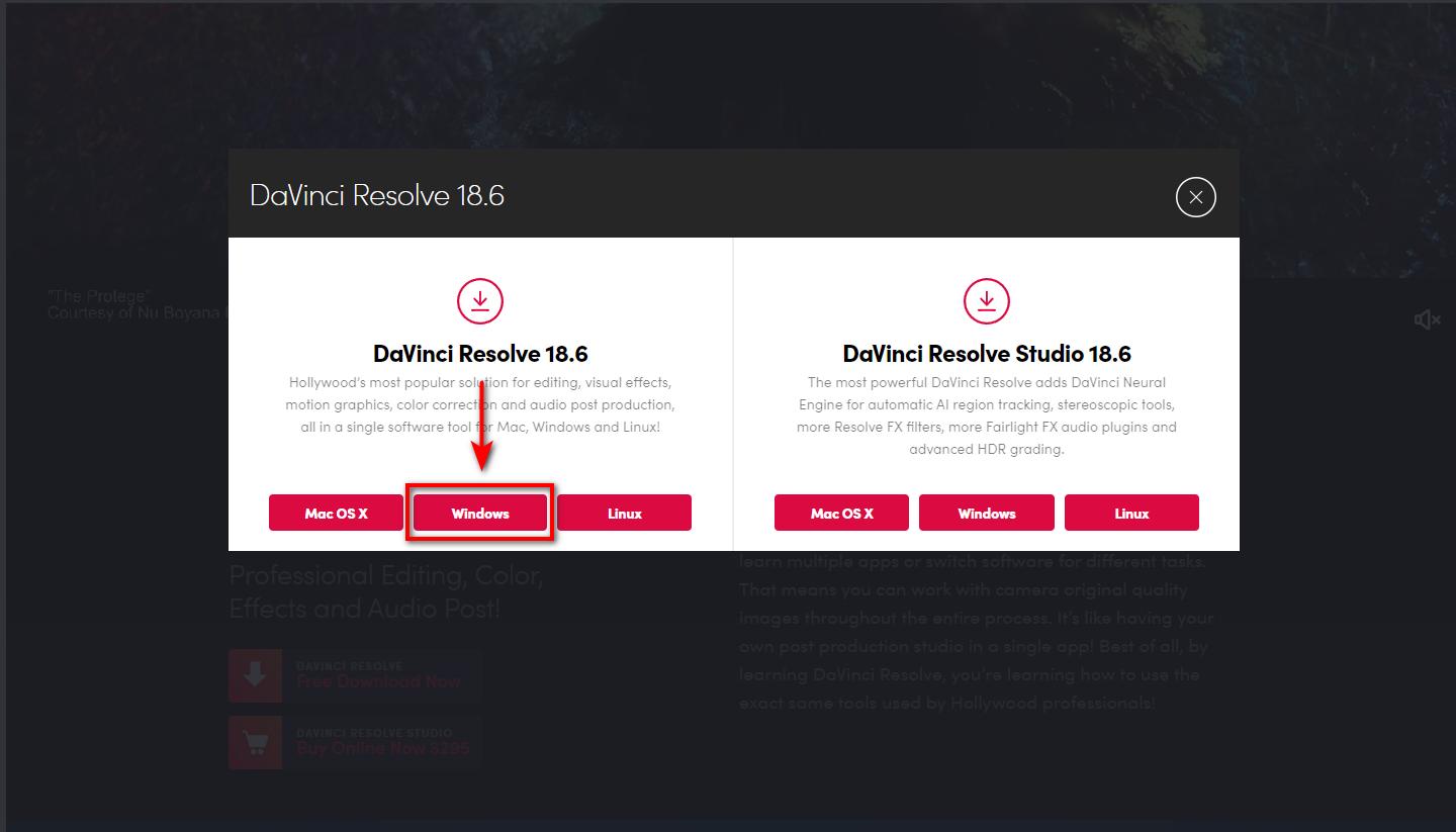 DaVinci Resolve 4