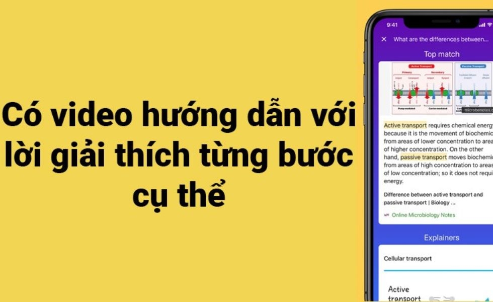 video lý giải bài tập