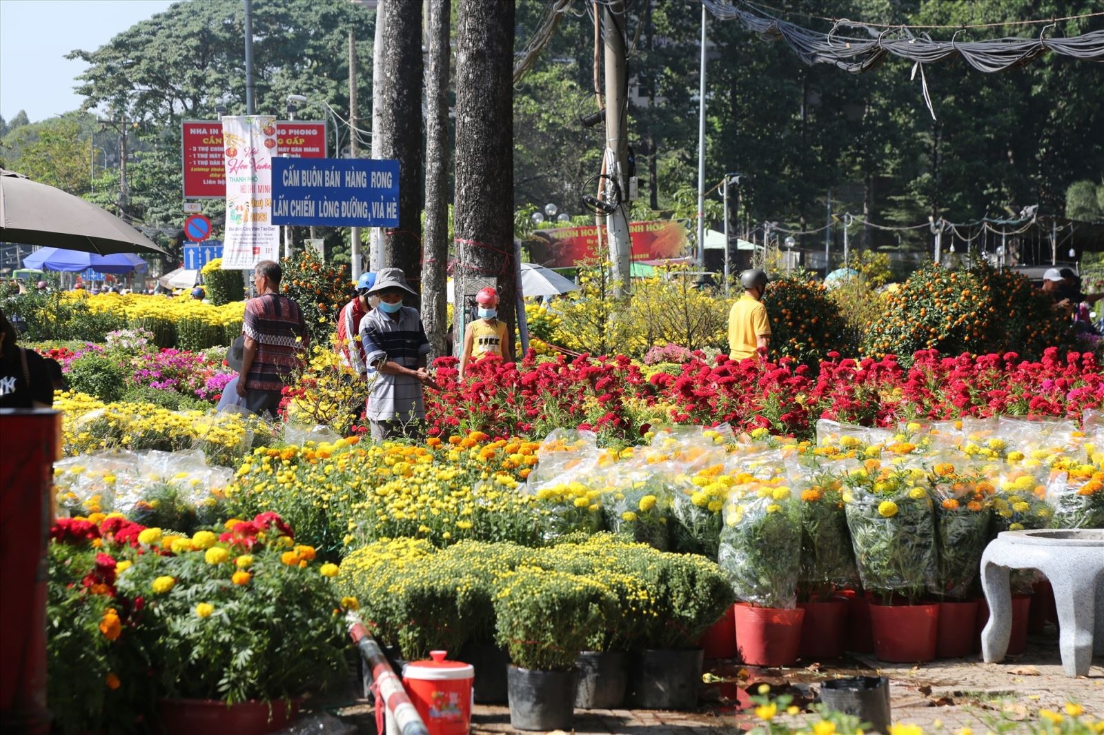 Chợ hoa nô nức vào những ngày cận kề Tết