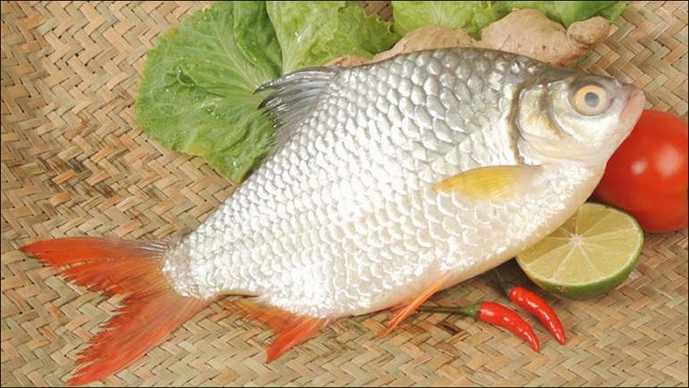 Cách chọn mua cá mè