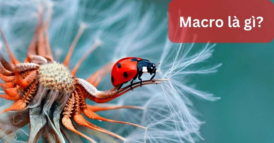 Khai thác nhiều tiện ích tuyệt vời khác